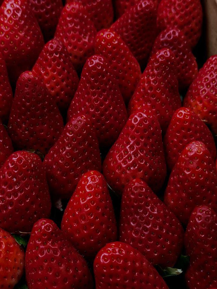 Berry Bounty: Fresh Farm-Picked Delights
